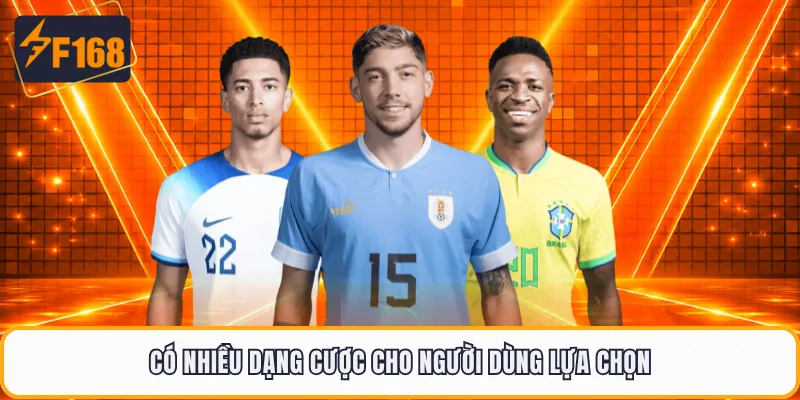 Có nhiều dạng cược cho người dùng lựa chọn